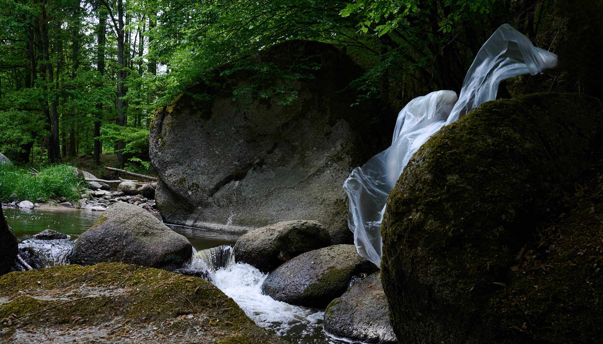 Skarabeos_Image_Wald_Fluss_Steine