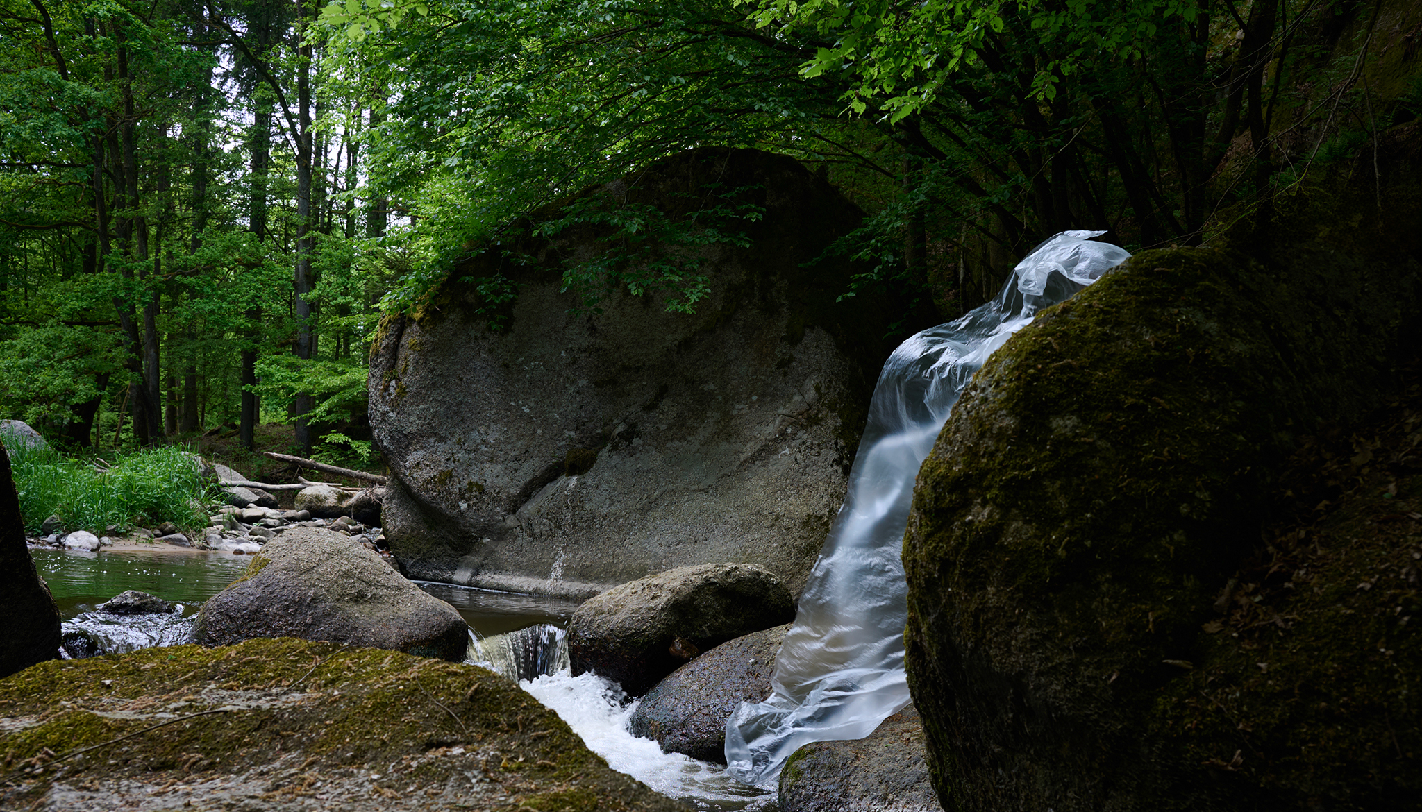Skarabeos_Image_ Wald_Fluss_Steine